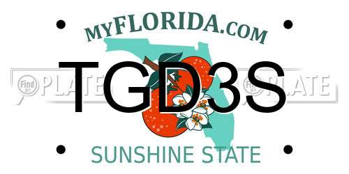 TGD3S Florida License Plate