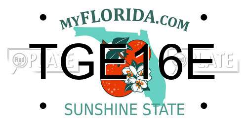 TGE16E Florida License Plate