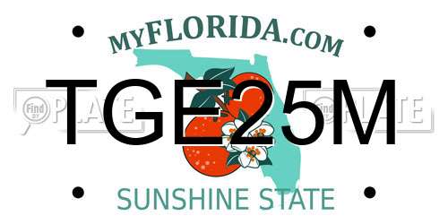 TGE25M Florida License Plate