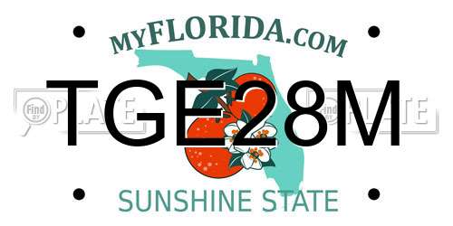 TGE28M Florida License Plate