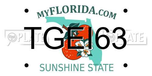 TGEI63 Florida License Plate