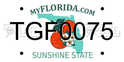 TGF0075 Florida License Plate