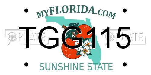 TGG115 Florida License Plate