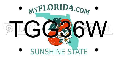 TGG36W Florida License Plate