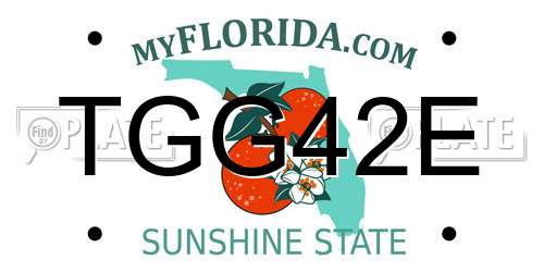 TGG42E Florida License Plate