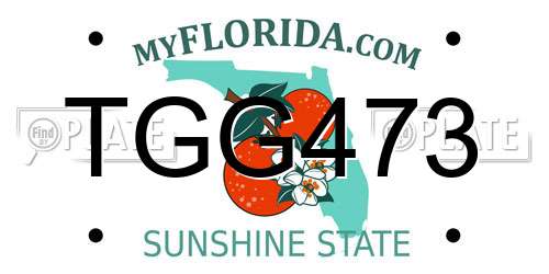 TGG473 Florida License Plate