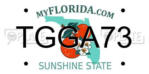TGGA73 Florida License Plate