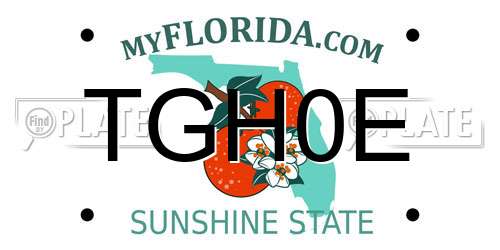 TGH0E Florida License Plate