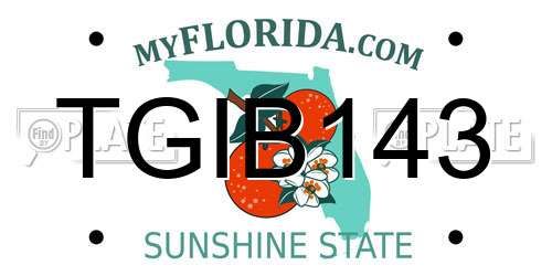 TGIB143 Florida License Plate
