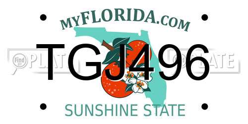 TGJ496 Florida License Plate