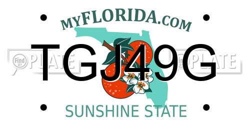 TGJ49G Florida License Plate