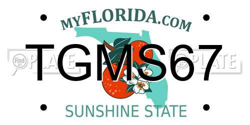 TGMS67 Florida License Plate