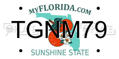 TGNM79 Florida License Plate