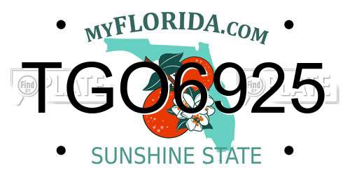 TGO6925 Florida License Plate