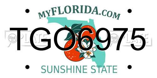 TGO6975 Florida License Plate