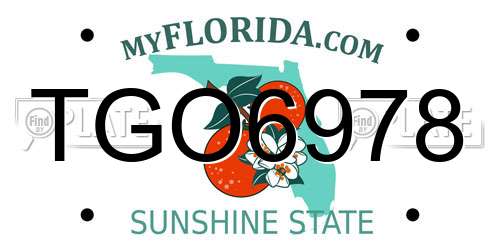 TGO6978 Florida License Plate