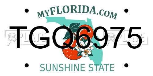 TGQ6975 Florida License Plate