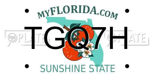 TGQ7H Florida License Plate