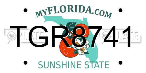 TGR8741 Florida License Plate