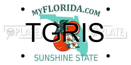 TGRIS Florida License Plate