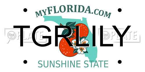 TGRLILY Florida License Plate