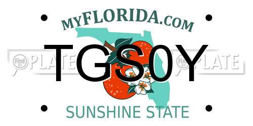 TGS0Y Florida License Plate