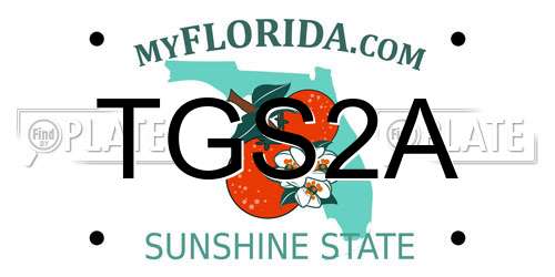 TGS2A Florida License Plate