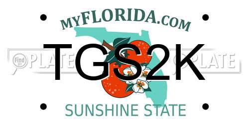 TGS2K Florida License Plate