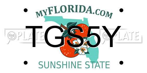 TGS5Y Florida License Plate
