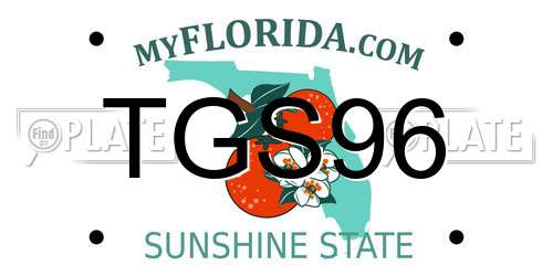 TGS96 Florida License Plate