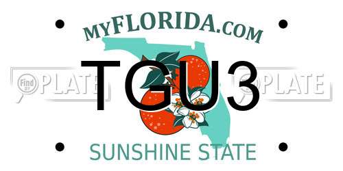 TGU3 Florida License Plate