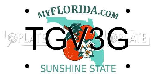 TGV3G Florida License Plate