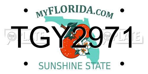 TGY2971 Florida License Plate