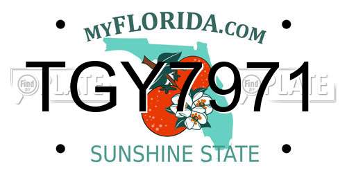 TGY7971 Florida License Plate