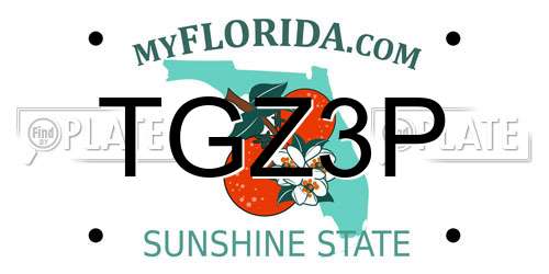 TGZ3P Florida License Plate