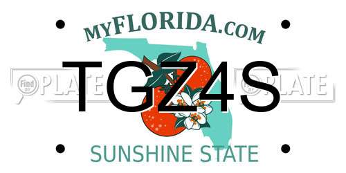 TGZ4S Florida License Plate