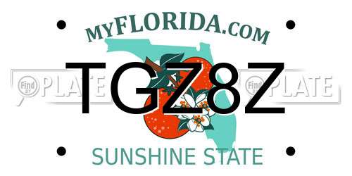 TGZ8Z Florida License Plate