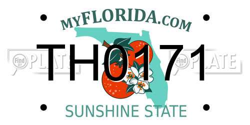 TH0171 Florida License Plate