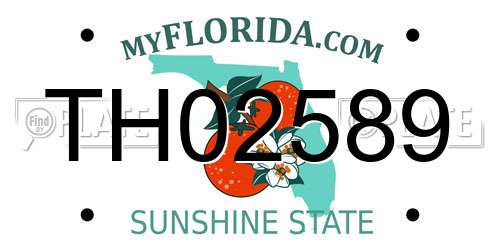 TH02589 Florida License Plate