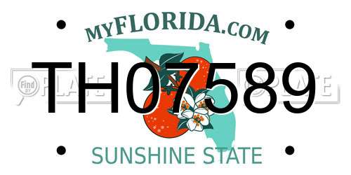 TH07589 Florida License Plate