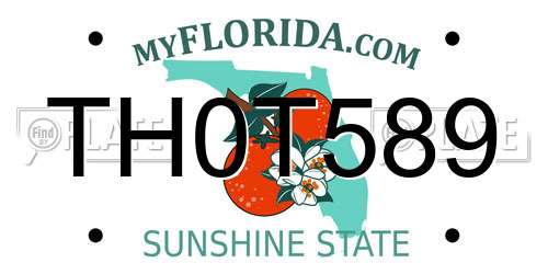 TH0T589 Florida License Plate