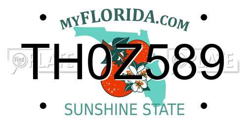 TH0Z589 Florida License Plate