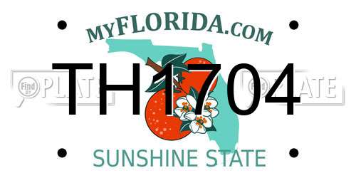 TH1704 Florida License Plate
