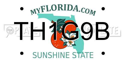 TH1G9B Florida License Plate