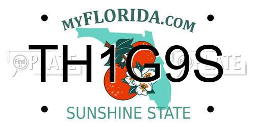 TH1G9S Florida License Plate
