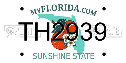 TH2939 Florida License Plate