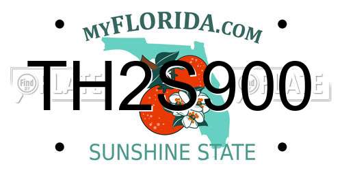TH2S900 Florida License Plate