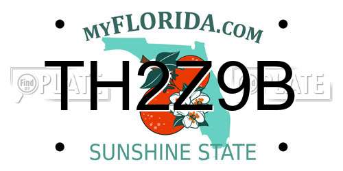 TH2Z9B Florida License Plate