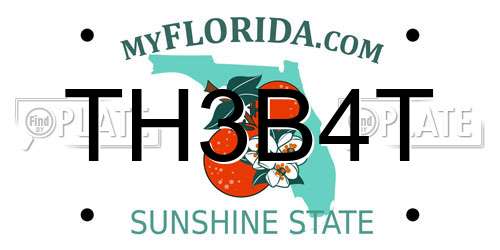 TH3B4T Florida License Plate