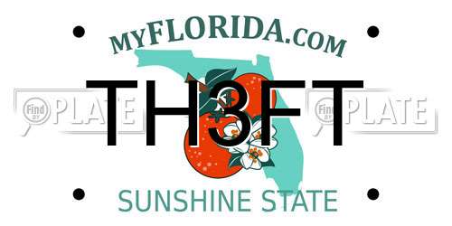 TH3FT Florida License Plate